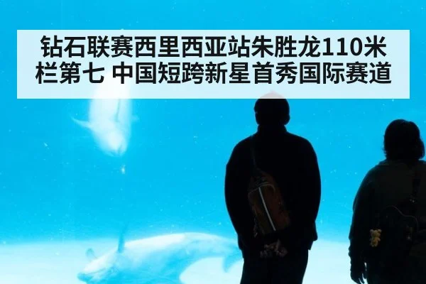 钻石联赛西里西亚站朱胜龙110米栏第七 中国短跨新星首秀国际赛道