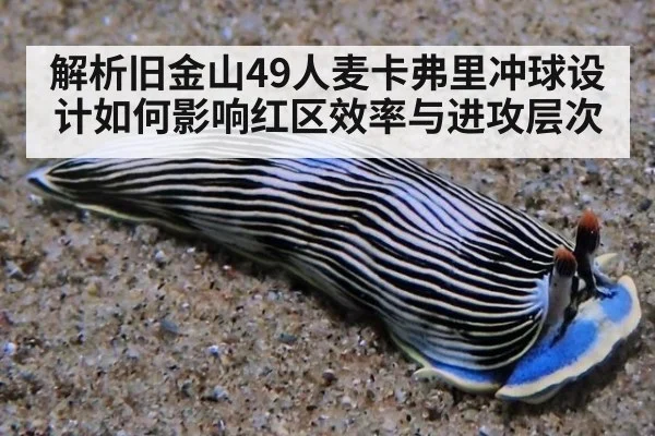 解析旧金山49人麦卡弗里冲球设计如何影响红区效率与进攻层次